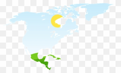 North America Clipart Free Download Transparent Png - World Map Emoji,Quebec Flag Emoji