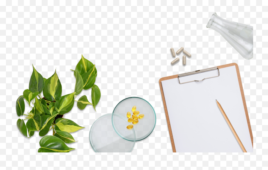 Addictions Metagenics Institute Anz Emoji,Shang Ba Xie Acupuncture Point Emotion