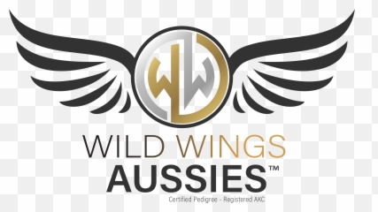 Home Wildwingsaussiescom Emoji,Australian Shepherd Emotions