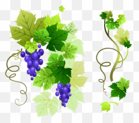 Grape Vine Leaf Png Image Png Mart Emoji,Leaf Sprig Emoji