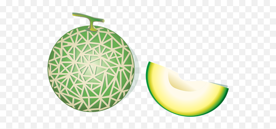 100 Free Melons U0026 Watermelon Illustrations - Pixabay Gambar Buah Melon Vektor Emoji,Cantelope Emoticon