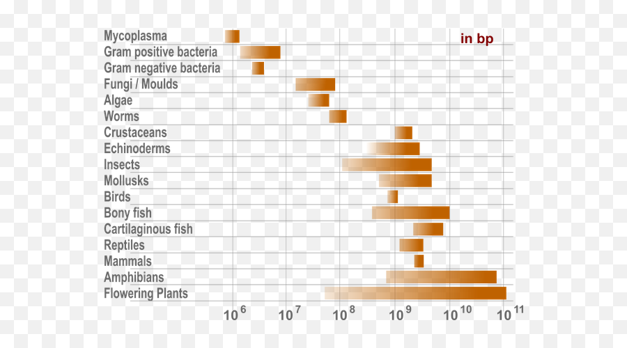 I Read That Humans And Mice Have 90 Genes In Common And - Statistical Graphics Emoji,Whales Mimicking Human Emotion