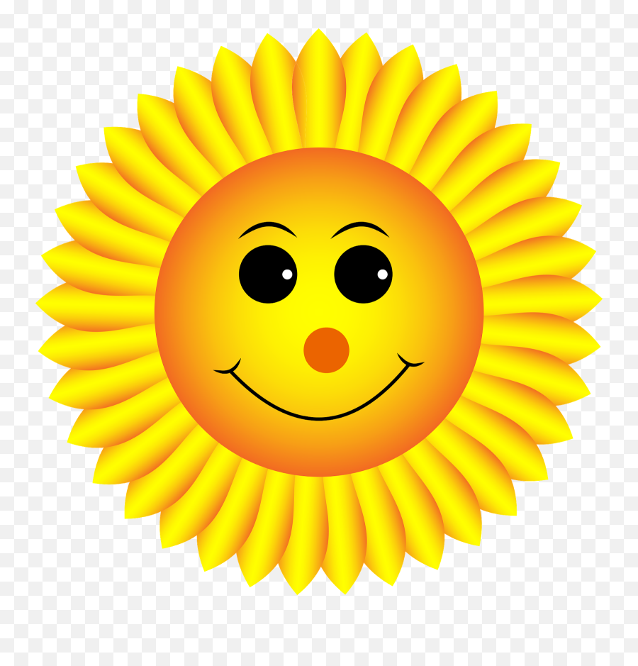 Sunflower Smiley Face - Mt Ci Hoa Hng Dng Emoji,Sunflower Emoji