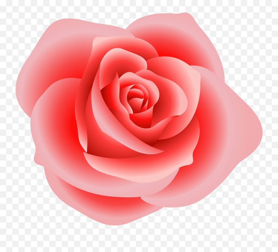 Roses Rose Bouquet Clipart Clipart Kid - Clipartix Dark Pink Rose Png Emoji,Wilted Rose Emoji