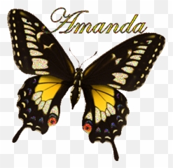 Amanda Name Graphics And Gifs Emoji,Moldes De Emoticons De Feltro