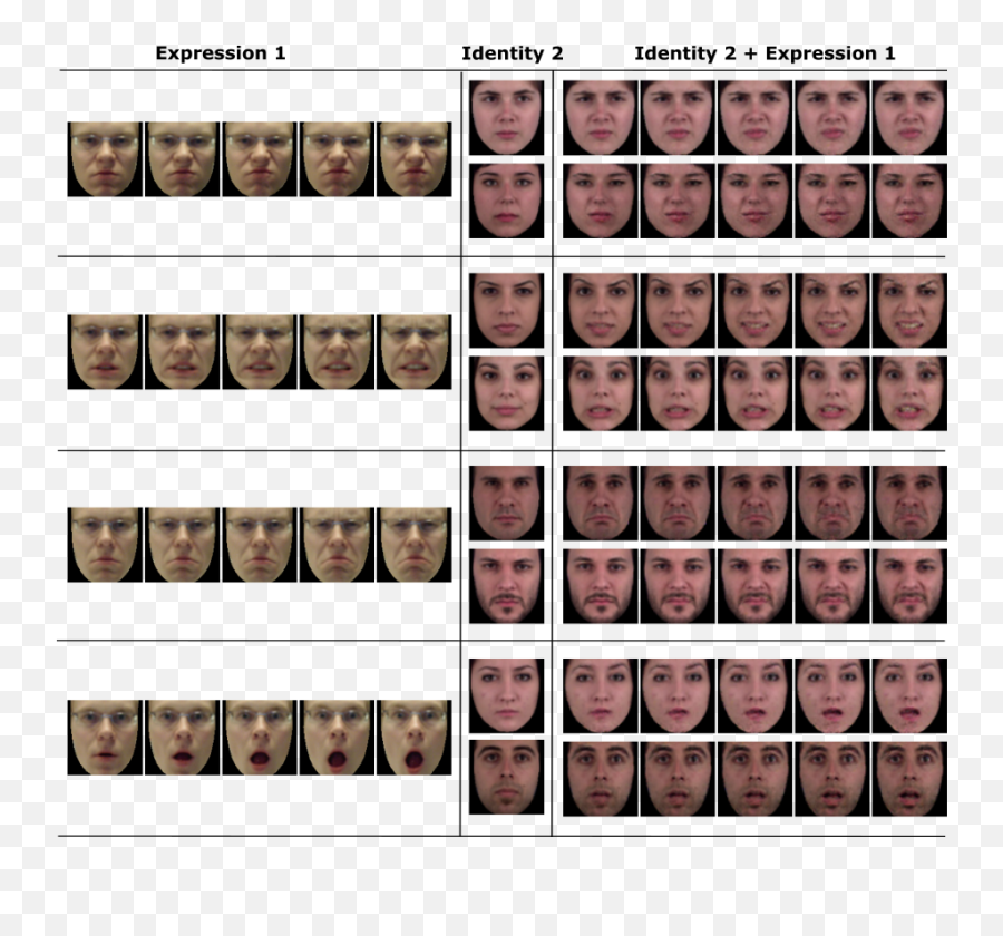 Dynamic Facial Expression Generation On Hilbert Hypersphere - For Adult Emoji,Different Facial Emotions