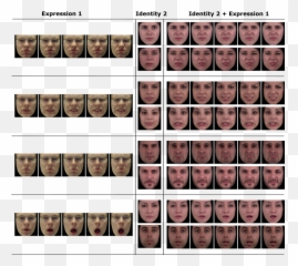 Dynamic Facial Expression Generation On Hilbert Hypersphere - For Adult Emoji,Different Facial Emotions