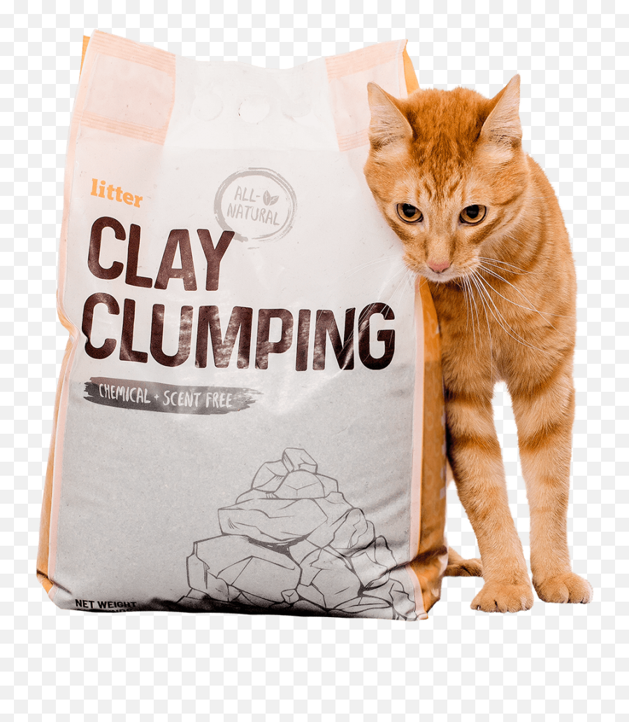 Natural Clumping Clay Cat - Best Clumping Clay Cat Litter Emoji,Cat Using Litter Box Emoticon