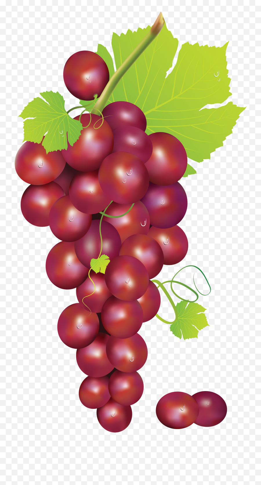 Red Grapes Clipart - Transparent Red Grapes Png Emoji,Grape Emoji