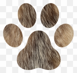 Dog Paws Car Decal - Hundepfote Aufkleber Auto Emoji,Dog Emoji Glasses