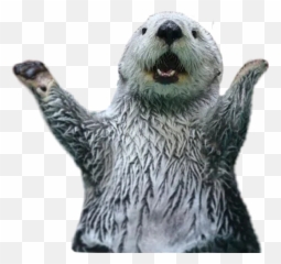 New Stickers For Whatsapp Page 68 - Stickers Cloud Sea Otter Emoji,Emotion Otter Impact