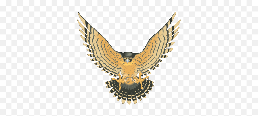 Download Falcon At Vector Image Png Image Clipart Png Emoji,Pelican Emoticon Fb