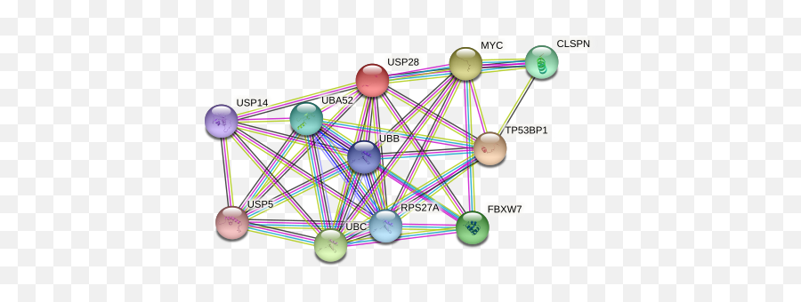 Usp28 Protein Human - String Interaction Network Emoji,Emotion Clock For Autism