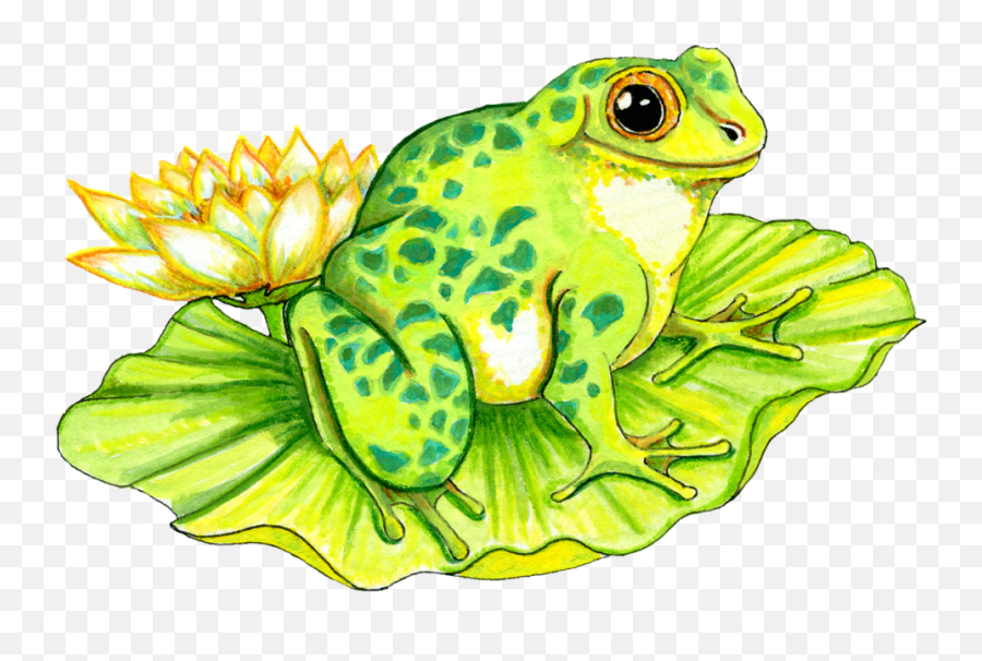 Frog Psd Official Psds Emoji,Frog Emoji Not Apply