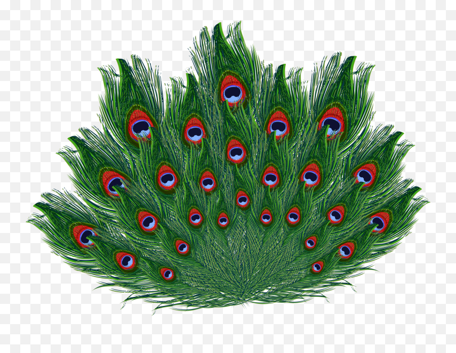 Peacock Feather Full Hd Png - Transparent Background Peacock Feathers Png Emoji,Feather Emoticon