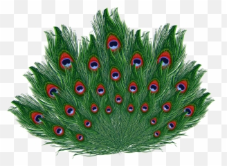 Peacock Feather Full Hd Png - Transparent Background Peacock Feathers Png Emoji,Feather Emoticon