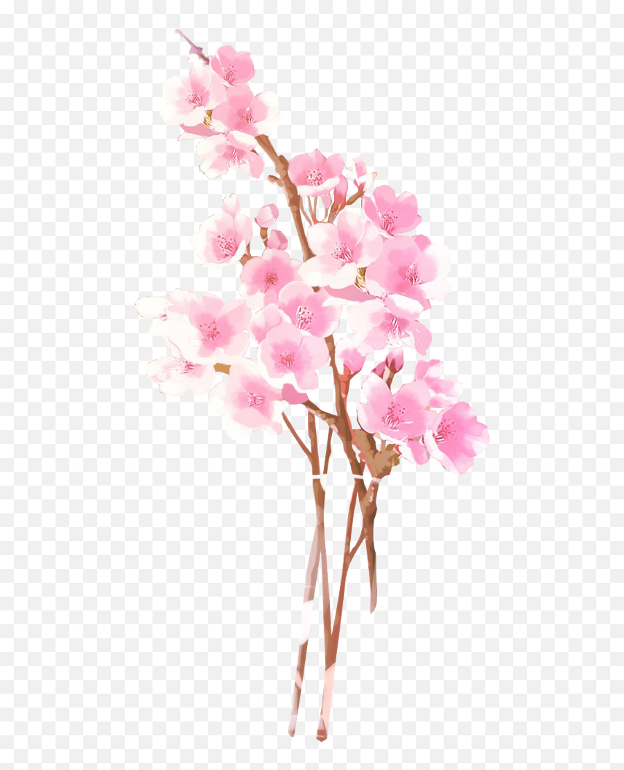 Anime Flower Transparent Clipart Free - Transparent Sakura Flowers Anime Emoji,Cherry Blossom Emoji