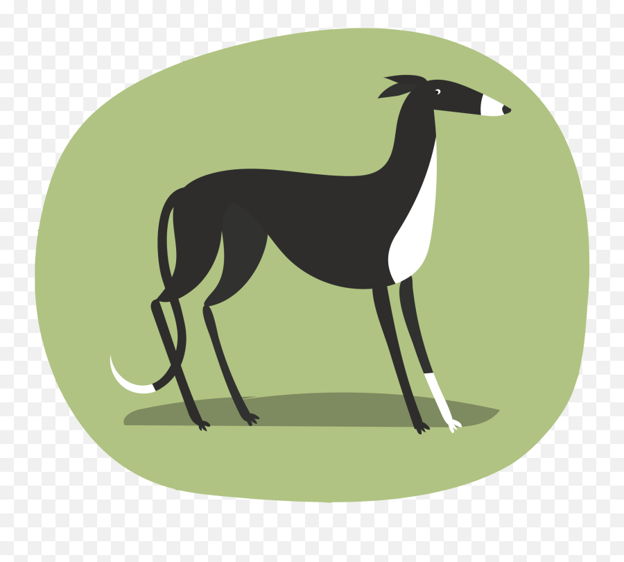 Greyhound Clipart - Rampur Greyhound Emoji,Greyhound Emoji