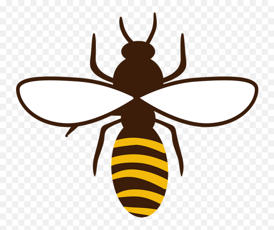 Honey Bee Clipart - Honey Bee Clipart Transparent Emoji,Honey Bee Emoji