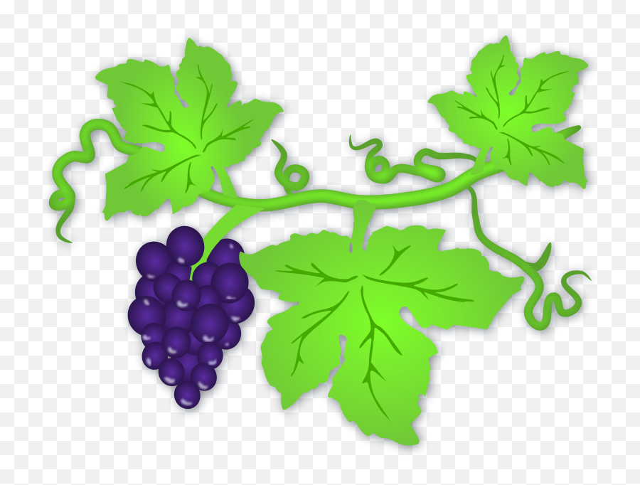 Grapes Clip Art Download - Clip Art Grape Leaves Emoji,Grape Emoji