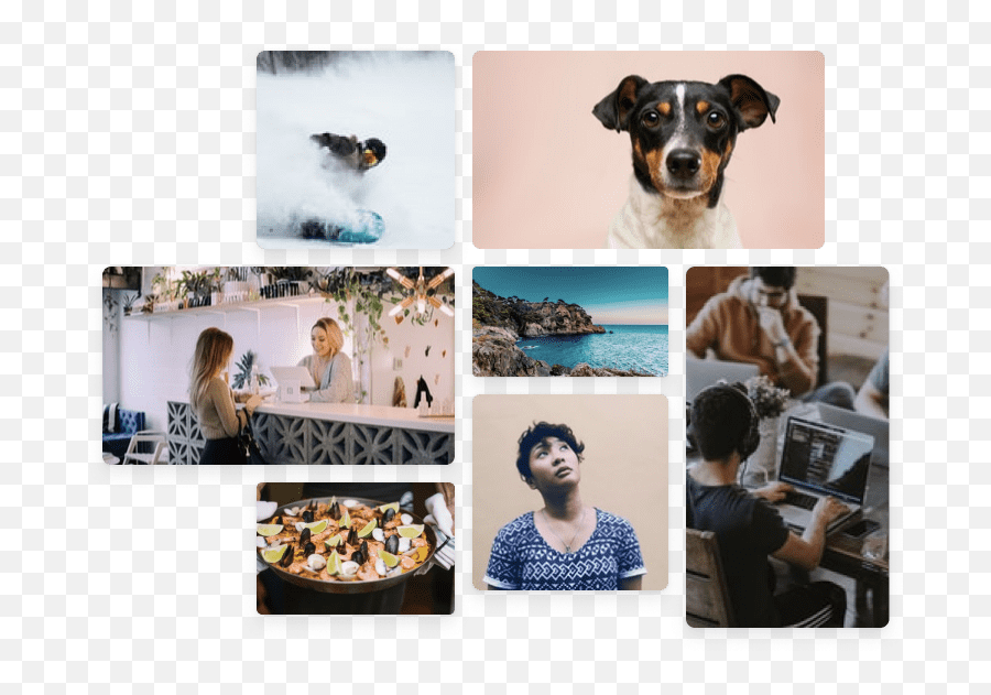 Grabadora Webcam Online Gratis Y Segura Clipchamp - Dog Emoji,Fondos De Pantalla De Emojis Para Ordenador