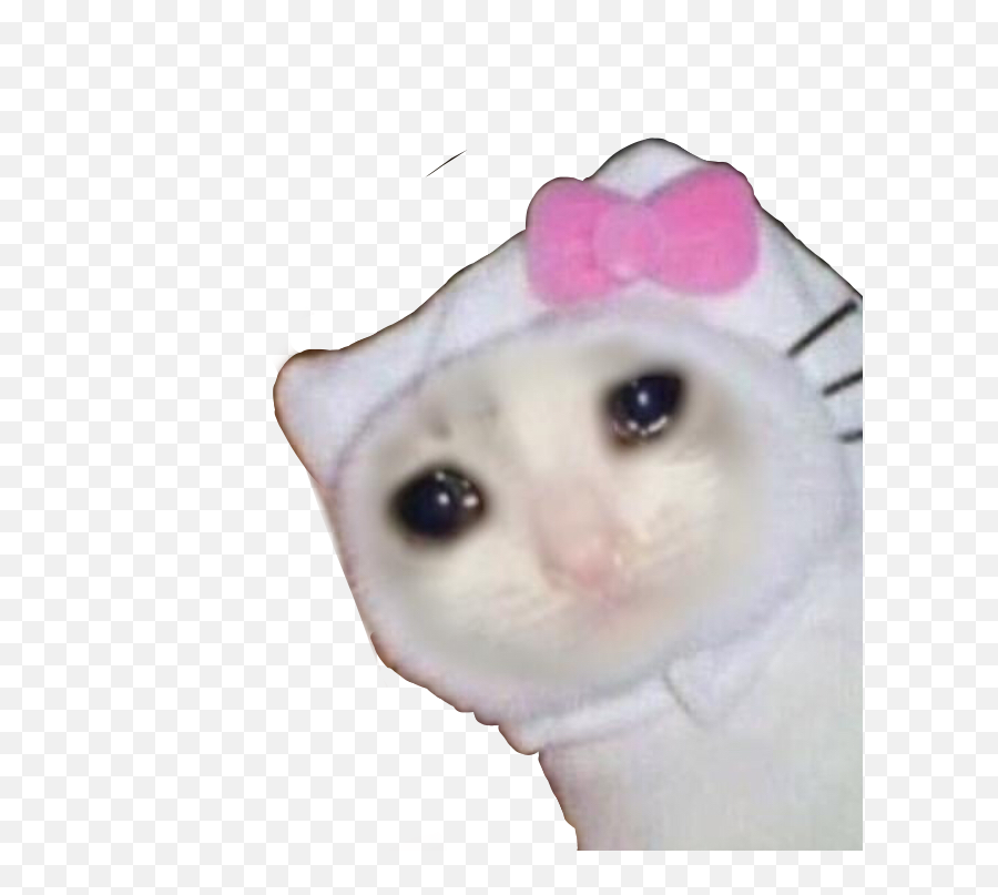 The Most Edited Sadcat Picsart - Hello Kitty Cat Meme Png Emoji,Sad Cat Meme Emoji