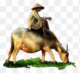 Cow Buffalo Man Farmer Grass Jhyuri Emoji,Cow And Man Emoji