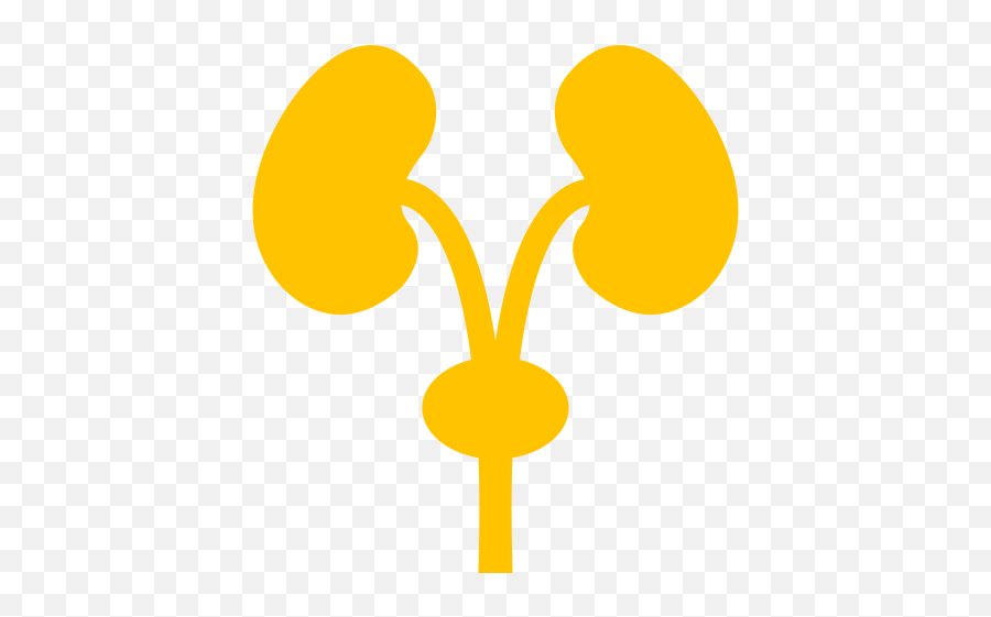 Simon Fraser University Guardme - Icon Emoji,Emojis That Lead From The Kidney To The Urinary Bladder