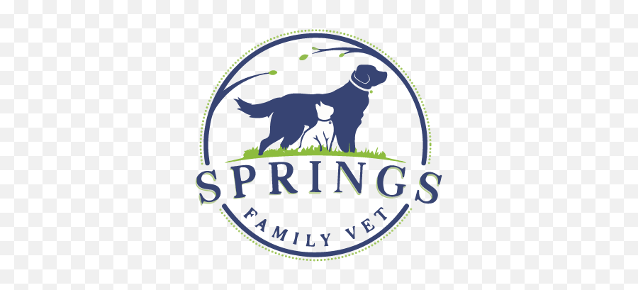 Springs Family Veterinary Hospital - Saratoga Springs Ny Home Kennel Club Emoji,Dog Showing Emotion Tumblr