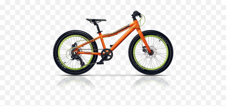 Rebel Sports Mountain Bikes Buy Clothes - Town Hall Emoji,Emotion Rebel Lynx 5.5 For Sale Online