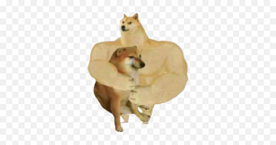 Swole Doge And Cheems Dogemoji By Hoang Nguyen - Akita,Doge Emoji