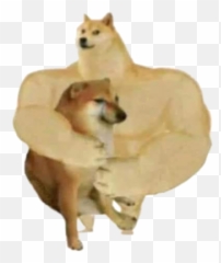 Swole Doge And Cheems Dogemoji By Hoang Nguyen - Akita,Doge Emoji