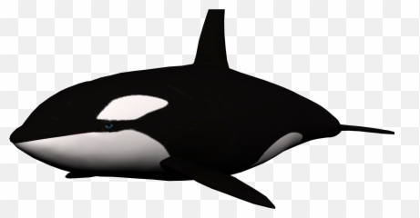 Clipart Whale Transparent Background - Whale Png Emoji,Killer Whale Emoji
