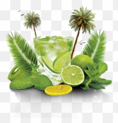 Mojito Drink Lemon Palmtrees Sticker - Insomnia Boat Party Tenerife Emoji,Mojito Emoji