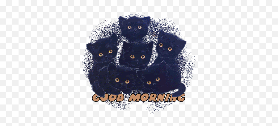 Top Cats On Youtube Stickers For - Black Cat Good Morning Emoji,Good Morning African American Emoji