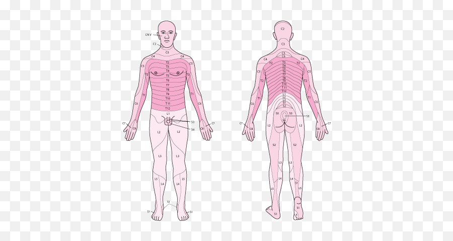 How To Assess Sensation - Neurologic Disorders Merck Standing Emoji,Drawings Of Determined Men Eye Emotions