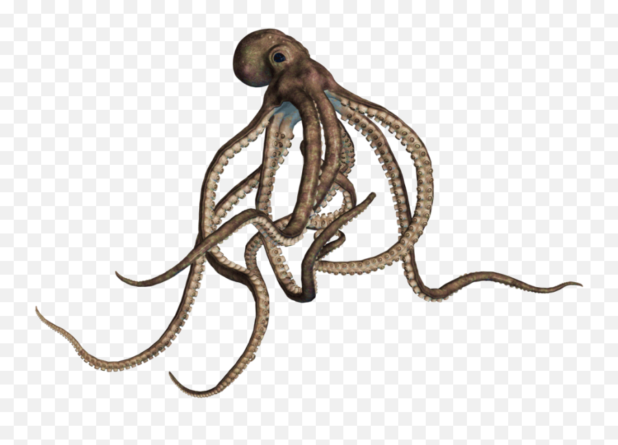 Octopus Png Transparent Free Images - Big Buddha Emoji,Octopus Changing Color To Match Emotion