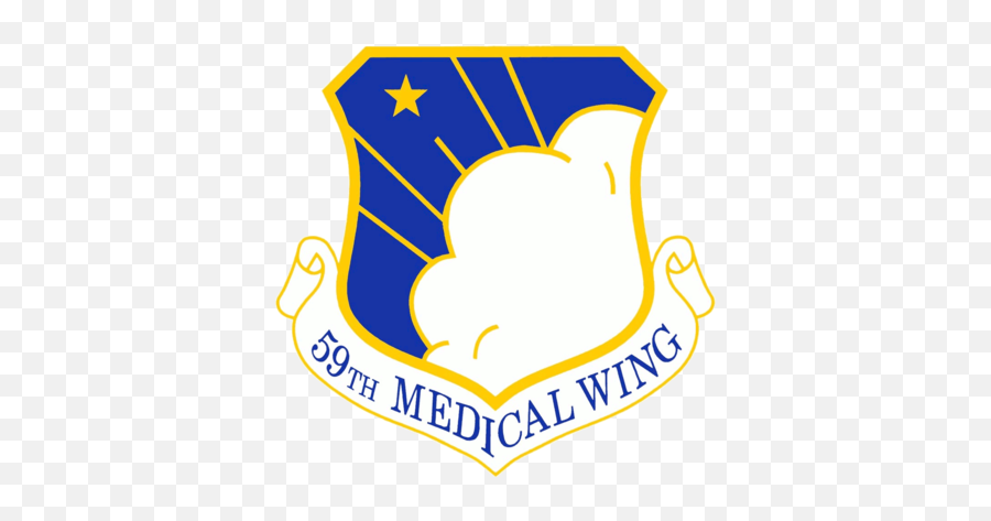 59th Medical Wing - 59th Medical Wing Emoji,Healthcare Emoji Lung