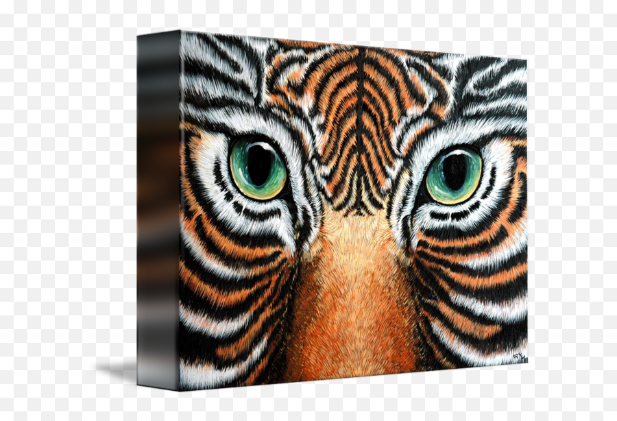 Tigers Stare - Bengal Tiger Emoji,Emotions Stare