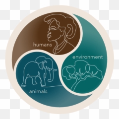 Zewact - Indian Elephant Emoji,Inside Out Emotions Elephtant