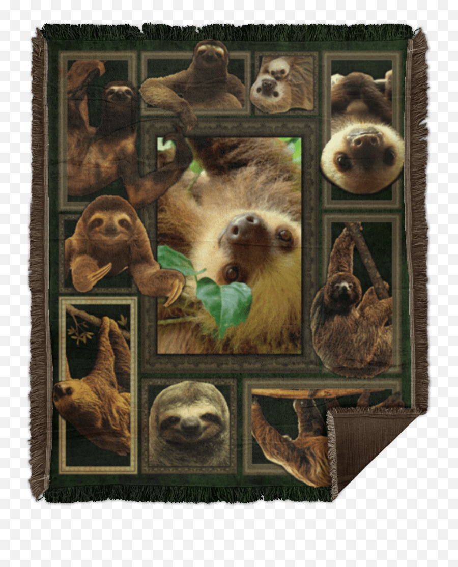 Sloth Lovers 3d Funny Fleece Blanket - Sherpa Blanket Woven Blanket Emoji,Sloth Emotion Chart