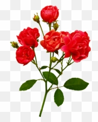 Emoji,Boquet Emoji