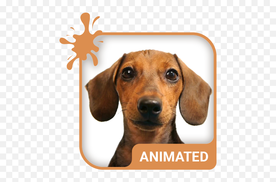 Doggy Dream Animated Keyboard Live Wallpaper - Apps On Icon Emoji,Emoji Animations