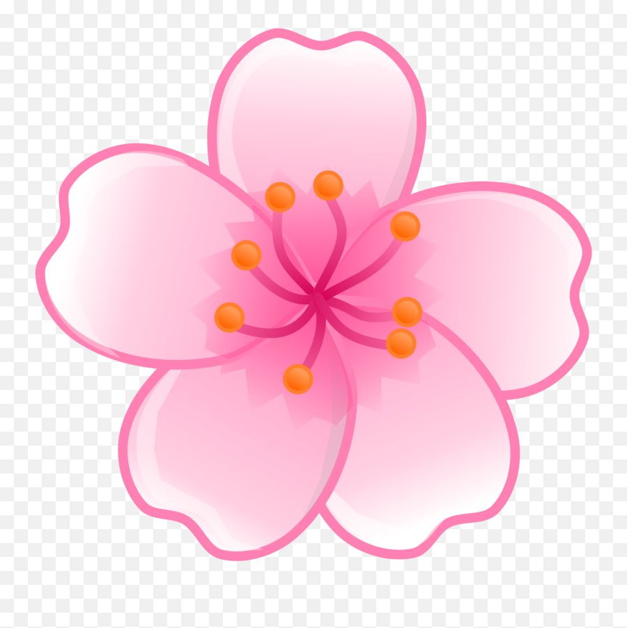 Cherry Blossom Flower - Single Cherry Blossom Png Emoji,Cherry Blossom Emoji