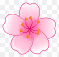 Cherry Blossom Flower - Single Cherry Blossom Png Emoji,Cherry Blossom Emoji