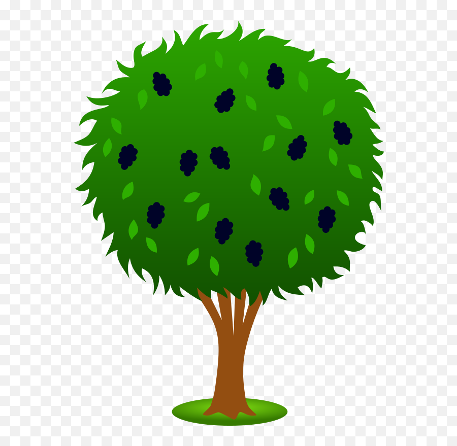 Free Tree Shrubs Cliparts Download Free Clip Art Free Clip - Easy Mulberry Tree Drawing Emoji,Deciduous Tree Emoji