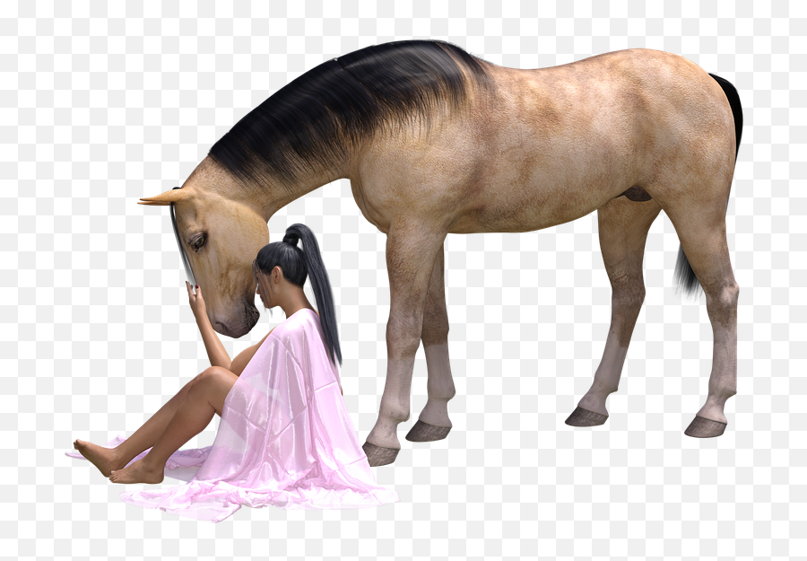 Free Photo Woman Love For Animals Friendship Horse - Max Pixel Mulher De Cavalo Png Emoji,Horse Emotions