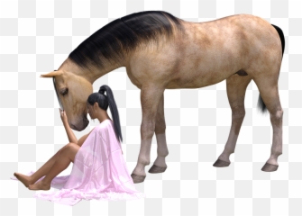 Free Photo Woman Love For Animals Friendship Horse - Max Pixel Mulher De Cavalo Png Emoji,Horse Emotions