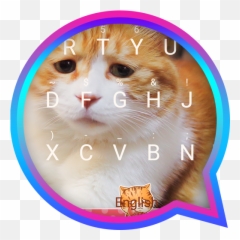 App Insights Orange Cat Themeu0026emoji Keyboard Apptopia - Photo Caption,Google Cat Emoji