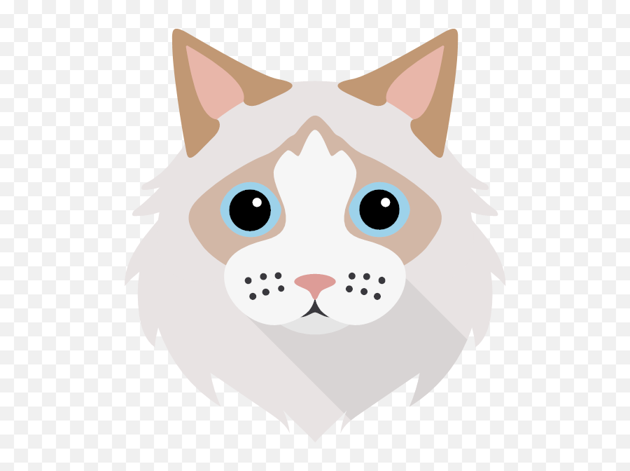 Personalised Cat Books - British Shorthair Head Cartoon Emoji,Cat Emoji Facebook Name
